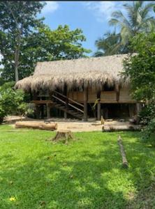 a hut with a grass roof on top of a yard at Cabaña ecologica en el Rio Cocorna, Puerto Triunfo in Providencia