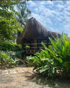 a hut with a thatched roof in a garden at Cabaña ecologica en el Rio Cocorna, Puerto Triunfo in Providencia