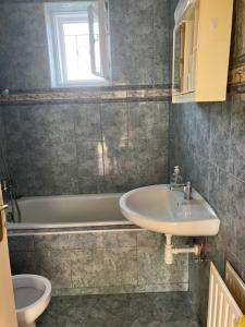 a bathroom with a sink and a toilet at Fanni Aparmanház in Miskolc