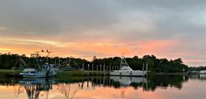 Fotografie z fotogalerie ubytování Porpoise Pass v destinaci Foley + 25 fotografií