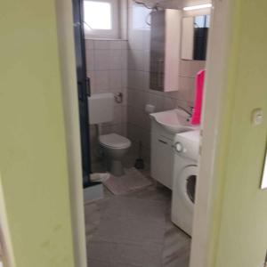 Ein Badezimmer in der Unterkunft Apartment Barbat 22