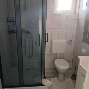 ein Badezimmer mit Toilette und Glasdusche in der Unterkunft Apartment Barbat 22 in Barbat na Rabu