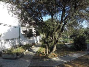 Ein Garten an der Unterkunft Apartment Barbat 22