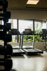 - une rangée d'appareils de cardio-training dans une salle de sport dotée d'une fenêtre dans l'établissement Coral Ritz - Flat beira mar (Condomínio Ritz Suites Home Service), à Maceió