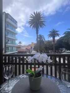 a table with wine glasses and a plant on a balcony at Frente a la Plaza del Charco - Mar y vida desde tus 2 balcones in Puerto de la Cruz