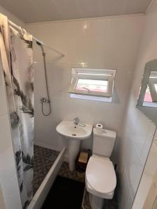 un piccolo bagno con un water e un lavandino di Podsolnukhi Guest House a Cholpon-Ata