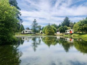 a view of a river with houses and trees at Brand New 4BR Alpine Home Near Turoa Ski Field in Ohakune