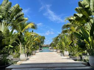 En have udenfor Awa C-103