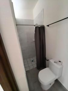 a bathroom with a toilet and a shower at Hotel Boutique Luz de Luna in San Blas