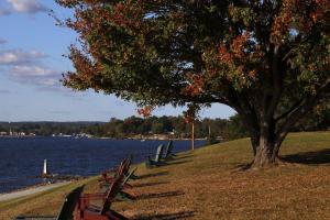 a row of park benches sitting next to a lake at First Floor Standard Deluxe Bay View in North East