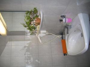 a bathroom with a urinal and a potted plant at Kaiser´s Weinland Hotel in Hammelburg