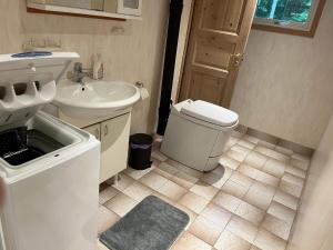 a small bathroom with a sink and a toilet at Peaceful Cabin near Furufjall Trail in Spekeröd +22 photos