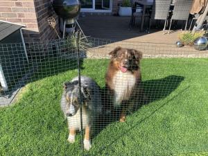 Gallery image of Holiday home with 3 bedrooms in Holnishof