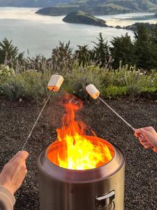 two people roasting hot dogs over a fire at Kūkupa Matairangi at Akaroa Lavender in Akaroa