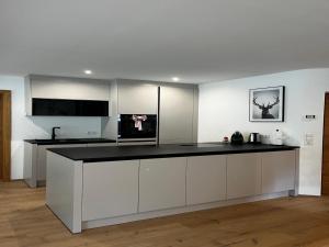 Dapur atau dapur kecil di Modern apartment in Seefeld