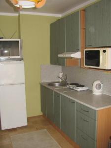 Kuchyň nebo kuchyňský kout v ubytování Economy Baltics Apartments - Keldrimäe