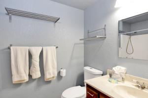ein Badezimmer mit einer weißen Toilette und einem Waschbecken in der Unterkunft Pinewood inn #2093 in Big Bear Lake + 9 Fotos