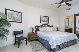 ein Schlafzimmer mit einem Bett, einem Stuhl und einem Ventilator in der Unterkunft Sonoran Sea in Campo del Medio