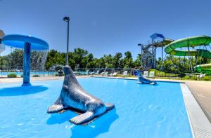 a water park with two dolphins in the water at Eagle Rock Base Camp in Boise