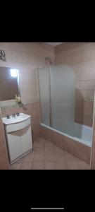 a bathroom with a shower and a sink and a tub at Dpto Zapiola - 2 Ambientes 3er piso por escalera in Bahía Blanca