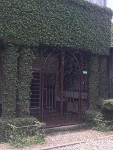 an iron gate in a ivy covered building at Alojamiento D'Rosales in Cobán