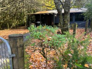 Κήπος έξω από το parkwood cottage