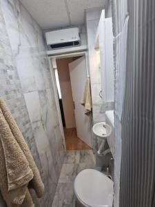 a small bathroom with a toilet and a sink at Chaplin Apartment in Paraćin +3 photos