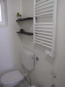 トリノにあるSusaseiの白いバスルーム(トイレ、棚付)