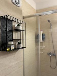 ein Badezimmer mit einer Dusche und einem Regal mit Pflanzen in der Unterkunft Saturn SunRise Studio in Saturn