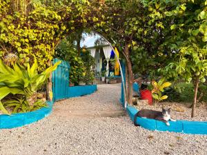 Giardino di Hera Hostel Diani