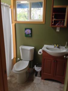 uma casa de banho com um WC, um lavatório e uma janela em Honu Hale em Volcano