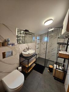 a bathroom with a toilet and a sink and a shower at Niemirowska Osada in Niemirów +56 photos