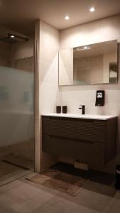 une salle de bain avec un lavabo et une douche dans l'établissement La Palmeraie sur l'Océan, à La Saline les Bains