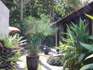 a garden with plants in large vases on a patio at Villa Jati - Private Poolside Villa Central Lovina in Lovina