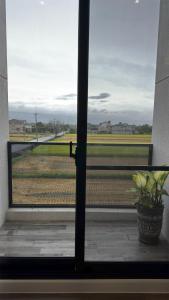 the country house附近的自然景觀