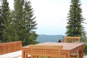 Příroda nedaleko apartmánu + 2 fotografie