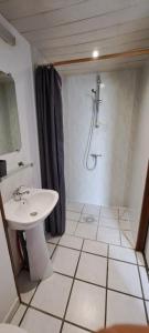 a bathroom with a sink and a shower at Studio des cimes in Bussang