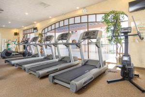 eine Reihe von Laufbändern in einem Fitnessstudio in der Unterkunft Sonoran Sea in Campo del Medio