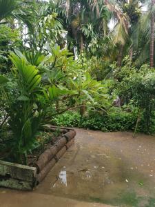 Giardino di Bar Ang Guesthouse