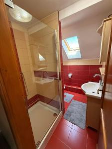 a bathroom with a shower and a sink at PENSIUNE RESTAURANT OVIDIU in Valea lui Mihai +20 photos