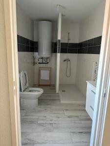 a bathroom with a toilet and a shower and a sink at Appartement neuf en centre ville de Libourne in Libourne