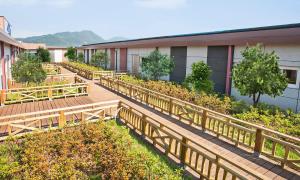 een gebouw met een terras met bomen en planten bij Sacheon Grand Tourist Hotel in Sacheon