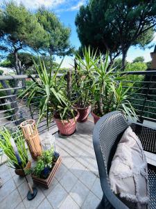 a chair sitting on a patio with potted plants at Damiano Chiesa terrazzato -Flexrent Immobiliare Abissinia in Riccione