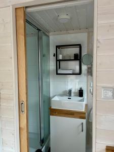 a bathroom with a sink and a shower at Leśne Siedlisko Wygonin in Wygonin +51 photos