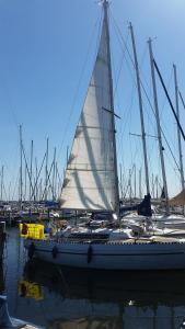 a sail boat is docked in a harbor at Boots-Camping Grevelingen in Herkingen