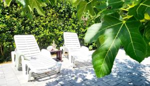 Fotografie z fotogalerie ubytování villa.sunny.nin v destinaci Nin + 116 fotografií