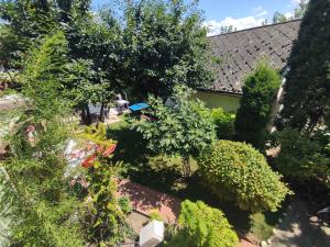 Vonkajšia záhrada v ubytovaní Holiday Homes in Siofok - Balaton 43405