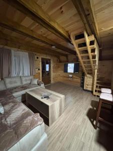 a large living room with a couch and a tv at Village house Gutovic in Rudinice