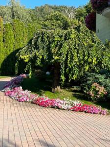 Gallery image of Gartenhof in Brixen
