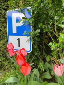 a parking sign sitting next to red flowers at APARTMENT KLAGENFURT Villa Frank No1 - with Free Parking, Air Conditioning, Smart-TV & Self Check-in in Klagenfurt